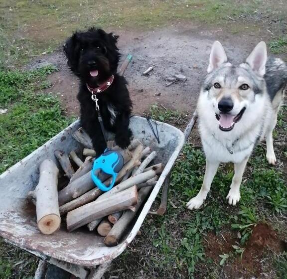 צימר Villa Del Lupo