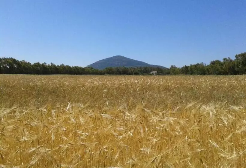 ベッドアンドブレックファースト Villa Del Lupo