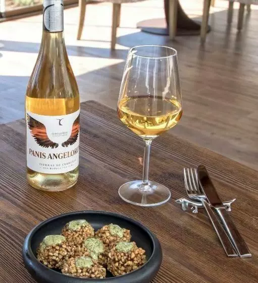 Hotelli Tierras De Cebreros