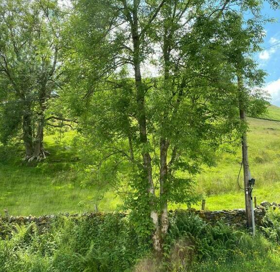 فندق صغير The Mill Inn