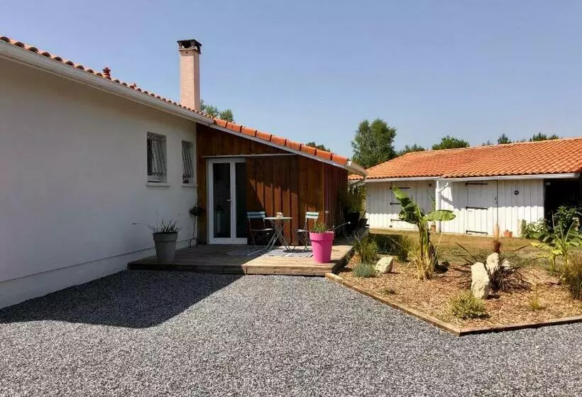 Majatalo Logement Indépendant Bassin D Arcachon