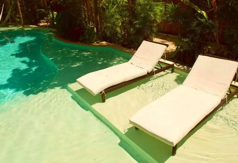 Palalma Casa Tulum   Luxury Apartment