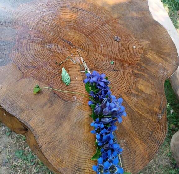 پانسیون Iamze S Guest House