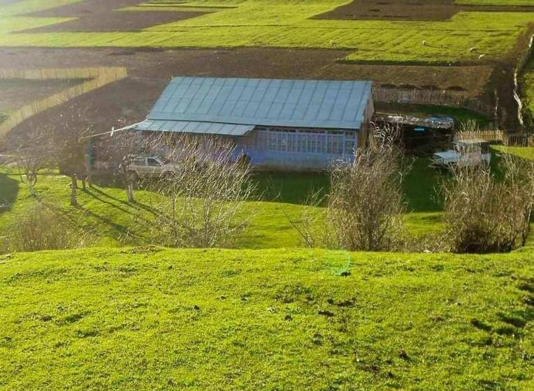 پانسیون Iamze S Guest House