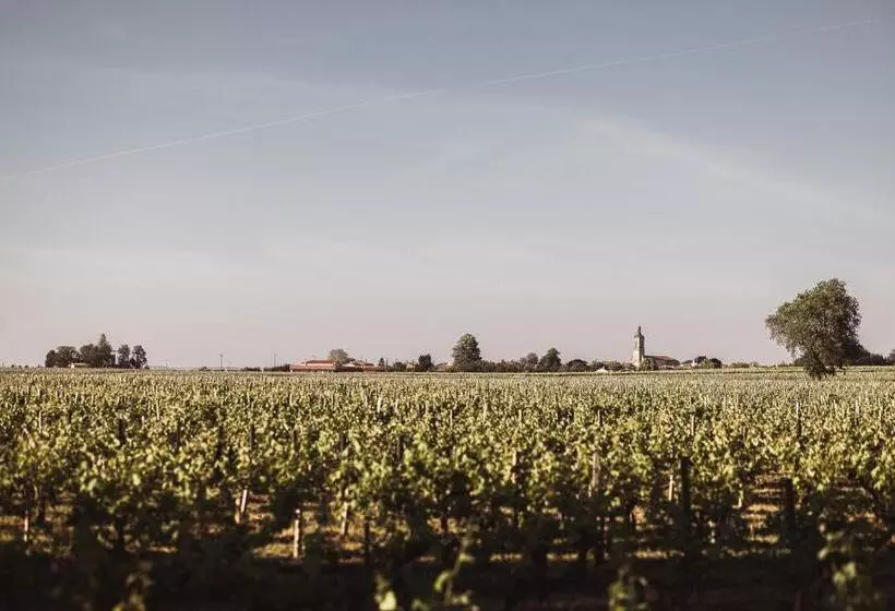 Aamiaismajoitus (B&B) Château Laffitte Carcasset