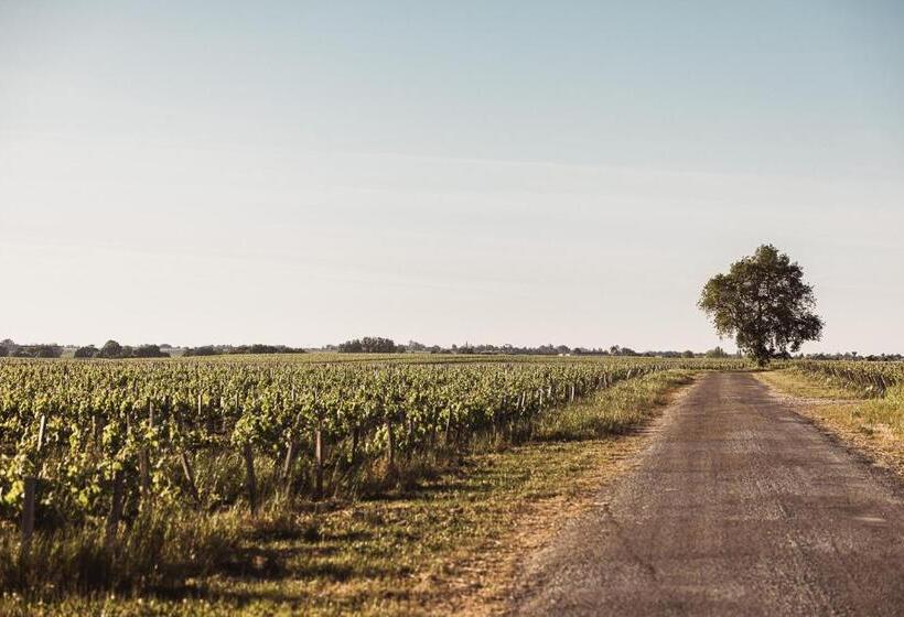 ベッドアンドブレックファースト Château Laffitte Carcasset