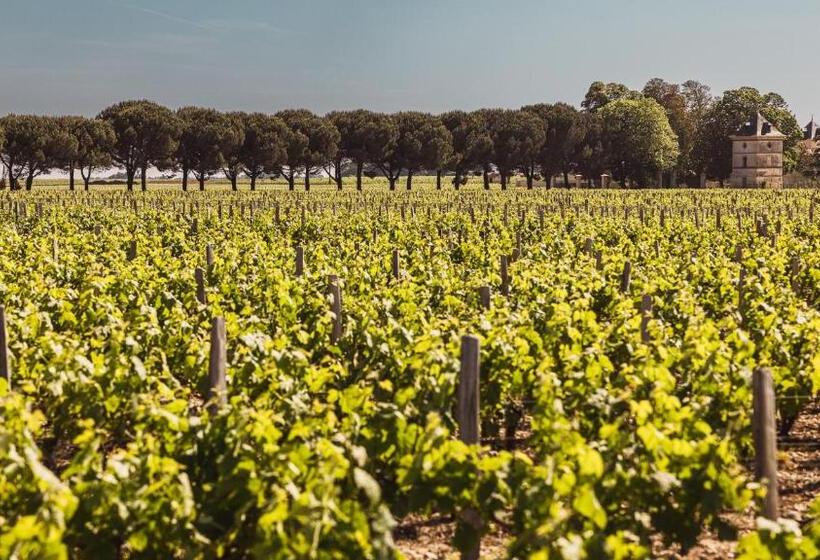 ベッドアンドブレックファースト Château Laffitte Carcasset