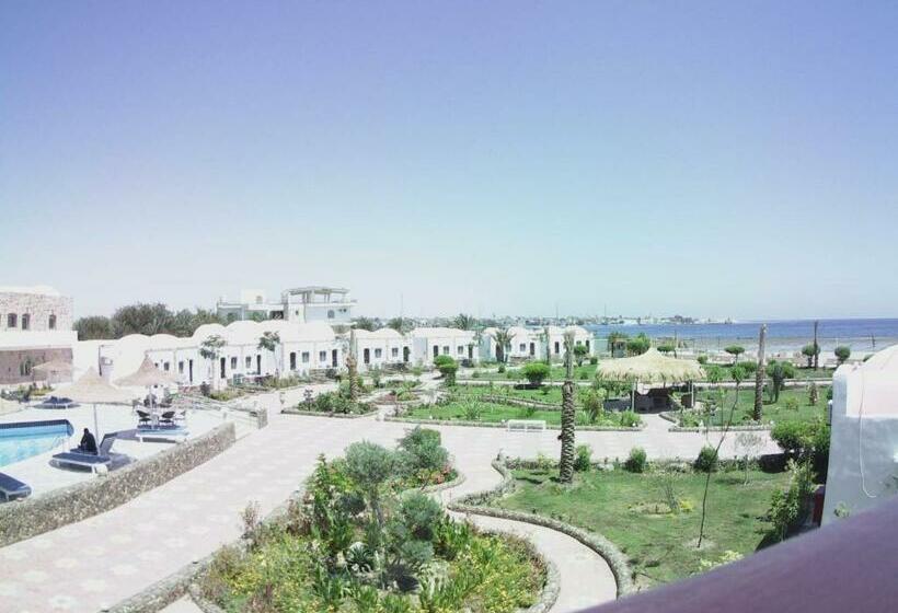 تختخواب و صبحانه Dolphin Continental