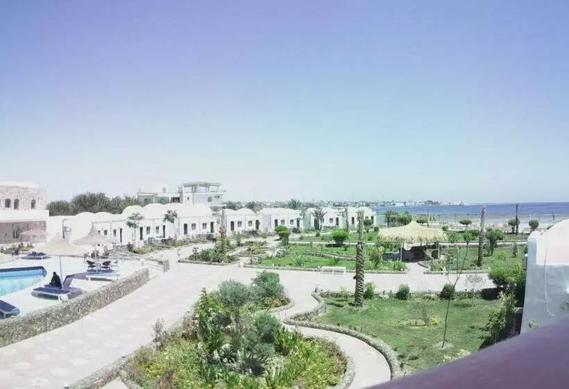 تختخواب و صبحانه Dolphin Continental