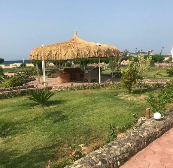 تختخواب و صبحانه Dolphin Continental