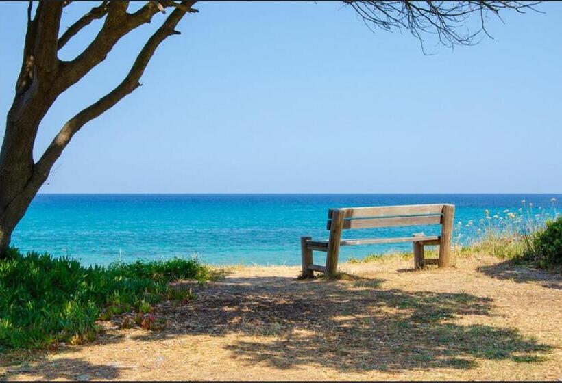 مبيت وإفطار A Caserella Chambres D Hôtes