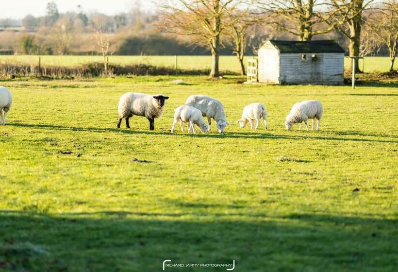 住宿加早餐 The Pheasantry