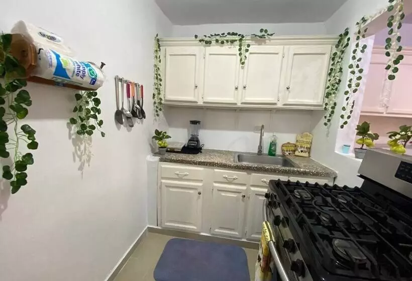 Dr Adorable Y Comfortable Apt Para Su Disfrute