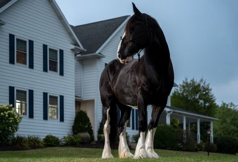 ベッドアンドブレックファースト Apple Pony Inn