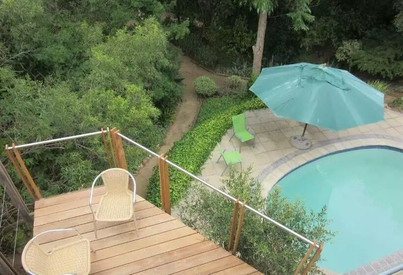 Pecan Tree Studio 1 With Forest View
