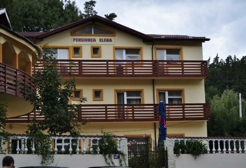 Pensiunea Elena Soveja