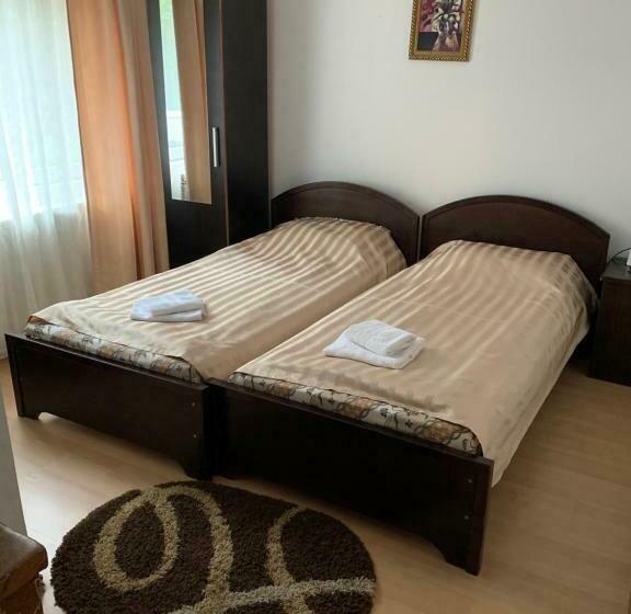 Pensiunea Elena Soveja