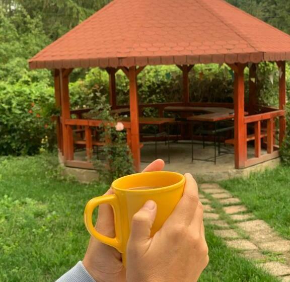 Pensiunea Elena Soveja