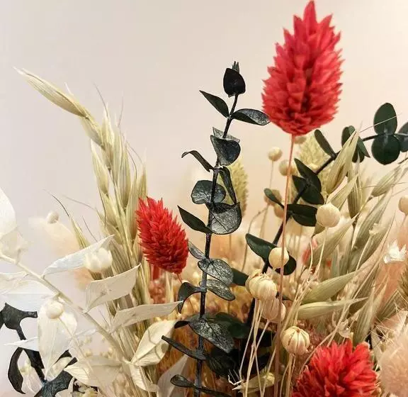 Le Chat Perché   Appartements 3 étoiles Spacieux Et Chaleureux à Allemond