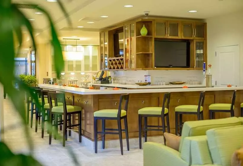 酒店 Hilton Garden Inn Exton / West Chester