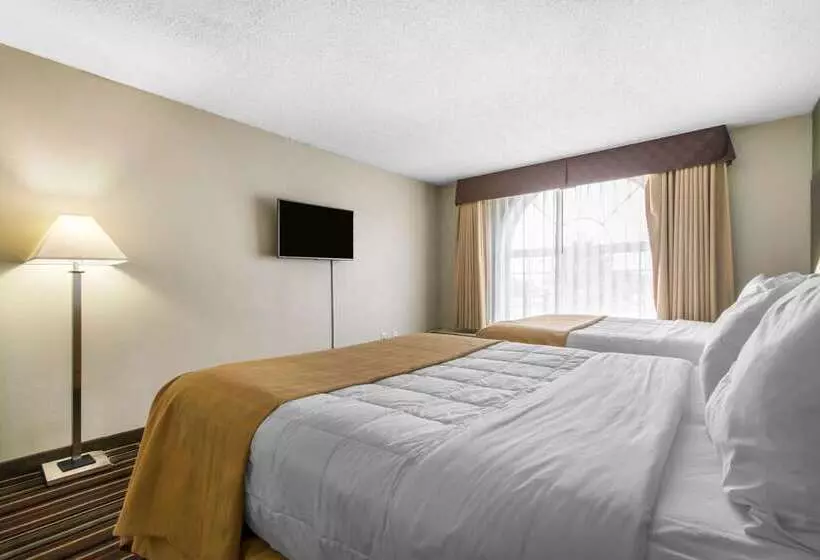 Hotel Quality Inn & Suites