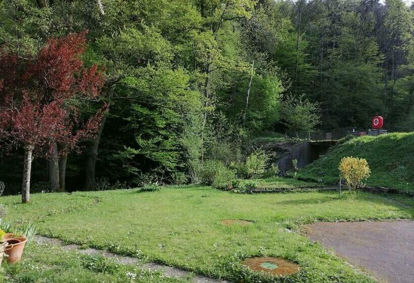 Appartement Entier Rénové Dans Un écrin De Verdure
