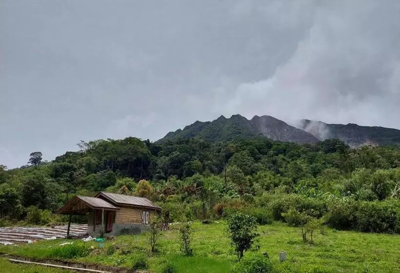 Orangutan Orchard Bungalow & Eco Jungle Trekking Activity
