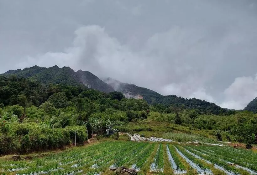 Orangutan Orchard Bungalow & Eco Jungle Trekking Activity