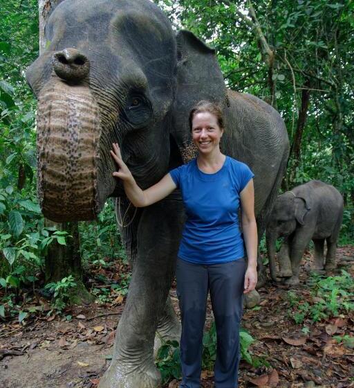 Orangutan Orchard Bungalow & Eco Jungle Trekking Activity