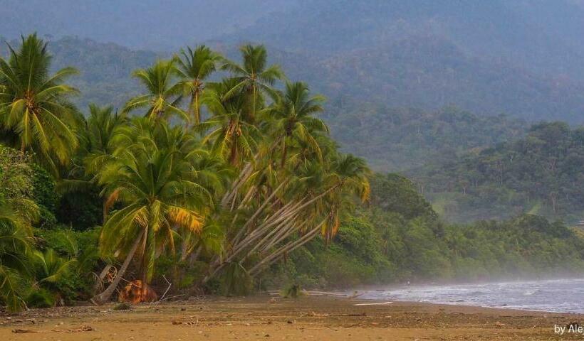 پانسیون Lil Lost