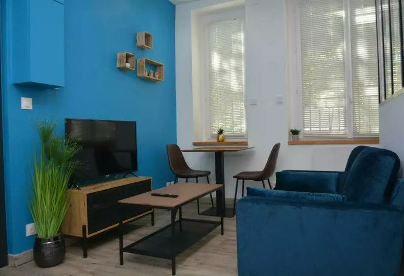 Magnifique Et Cosy T1 En Centre Ville