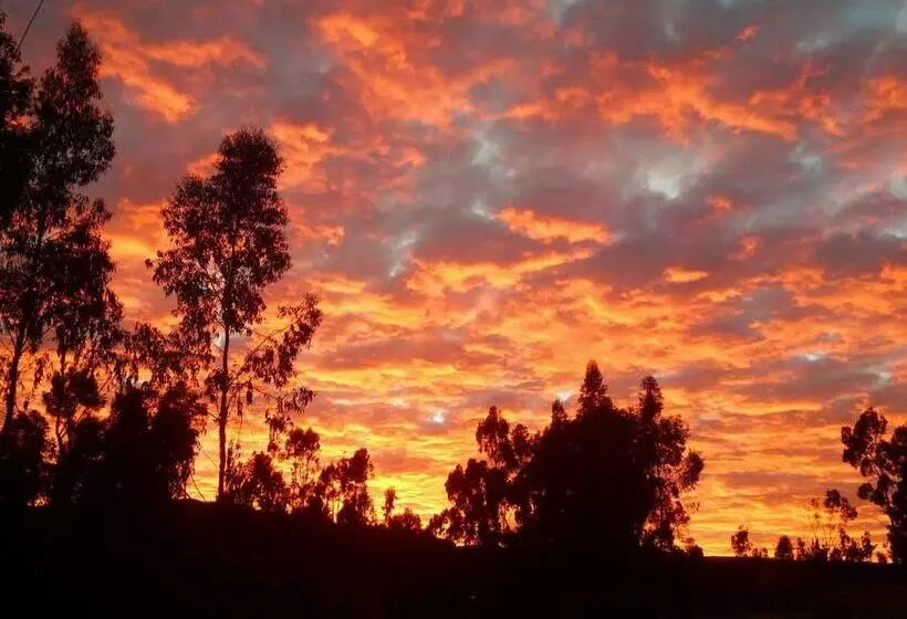 ベッドアンドブレックファースト Maychu S Albergue