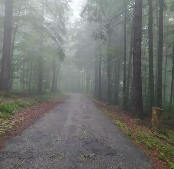 Ferienwohnung Rotenfels