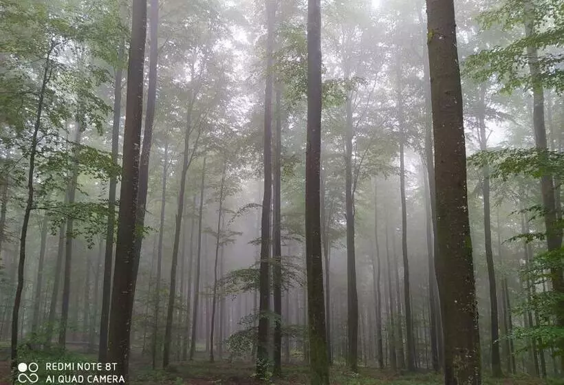 Ferienwohnung Rotenfels