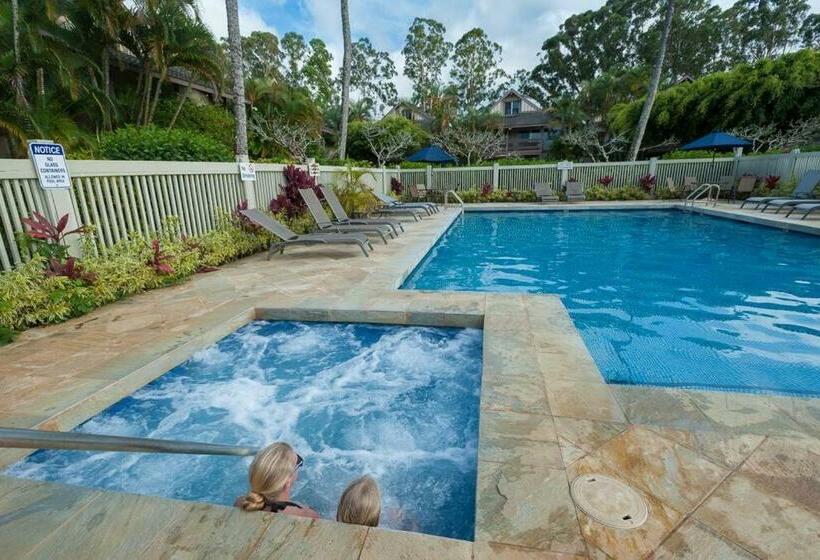 Sp119b   Adorable, Affordable Studio, With Pool And Hot Tub, New Bed!