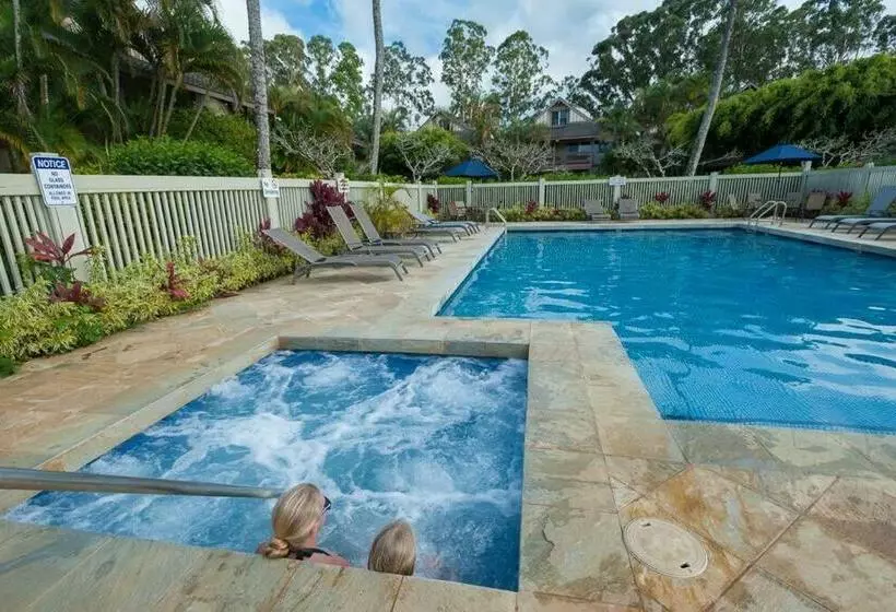Sp119b   Adorable, Affordable Studio, With Pool And Hot Tub, New Bed!