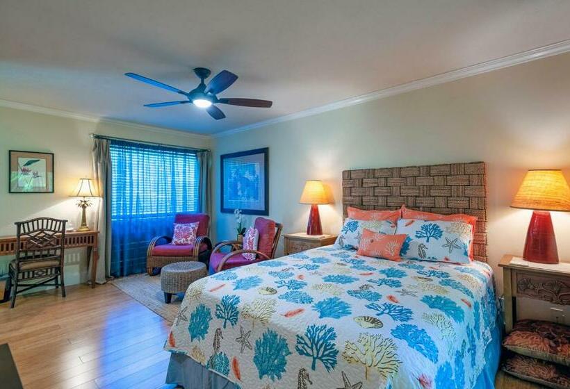 Sp119b   Adorable, Affordable Studio, With Pool And Hot Tub, New Bed!