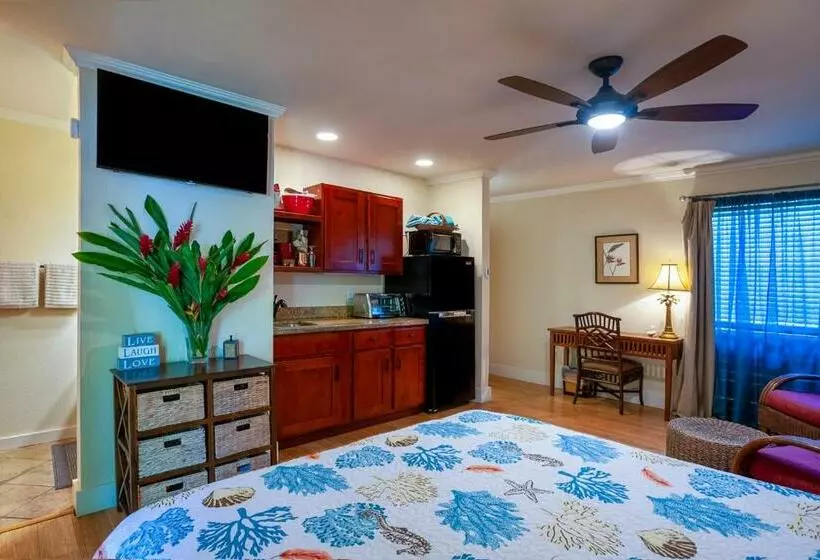Sp119b   Adorable, Affordable Studio, With Pool And Hot Tub, New Bed!