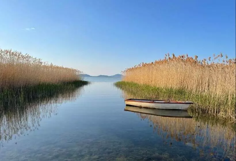 Fenyves Beach Apartman