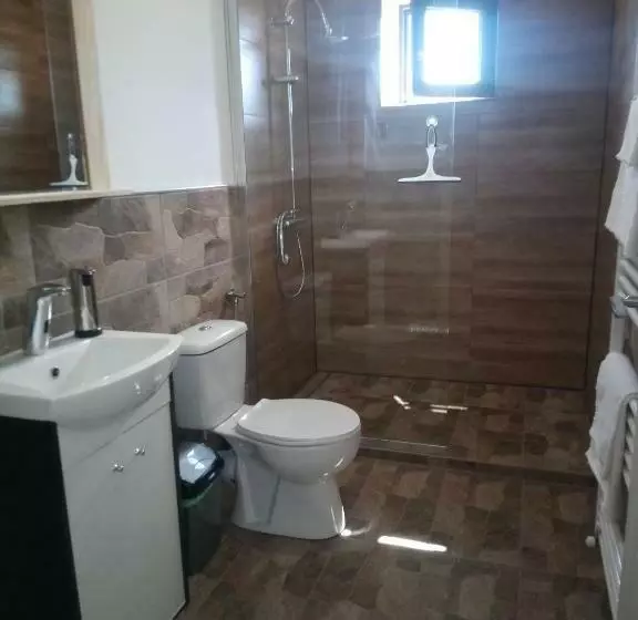 ペンション Casa Prieteniei Cazare