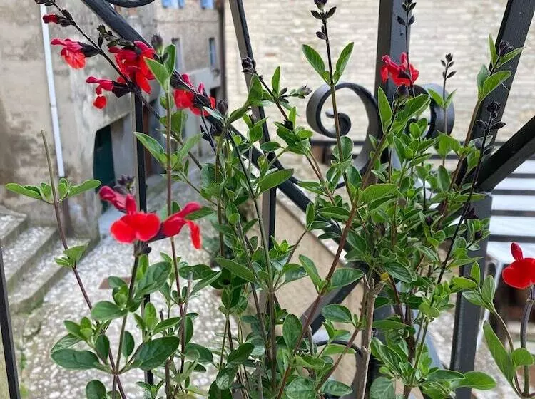 Casa Agello B&b