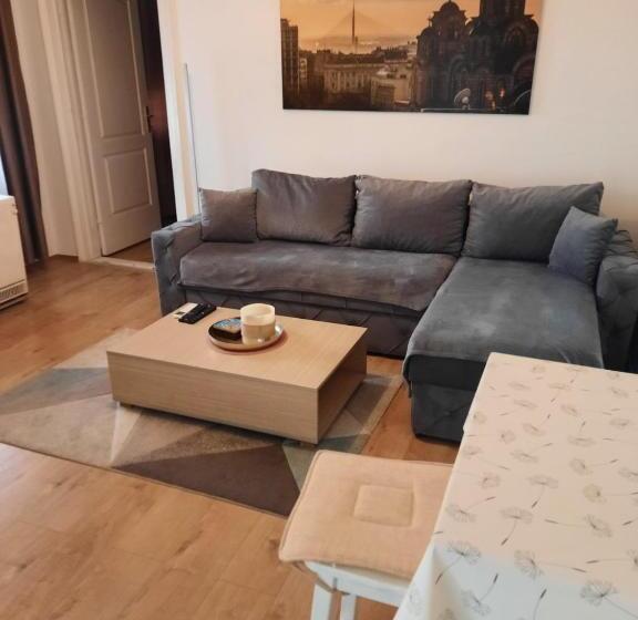 Flat In Belgrade City Center, 45m2