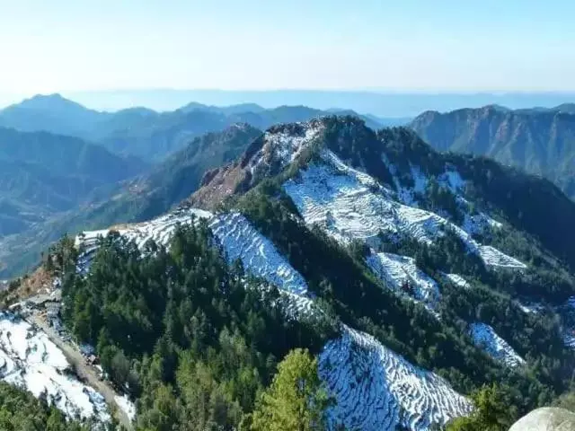 ホテル Green Valley Resort Pvt Ltd