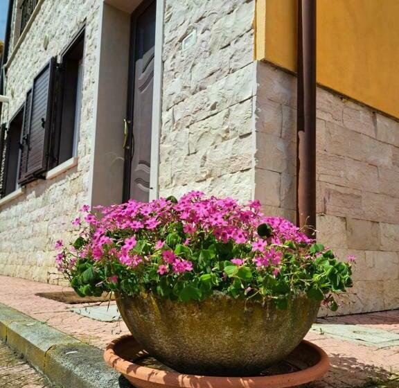 La Casa Di Mezzo Affitti Brevi Zona Ospedali