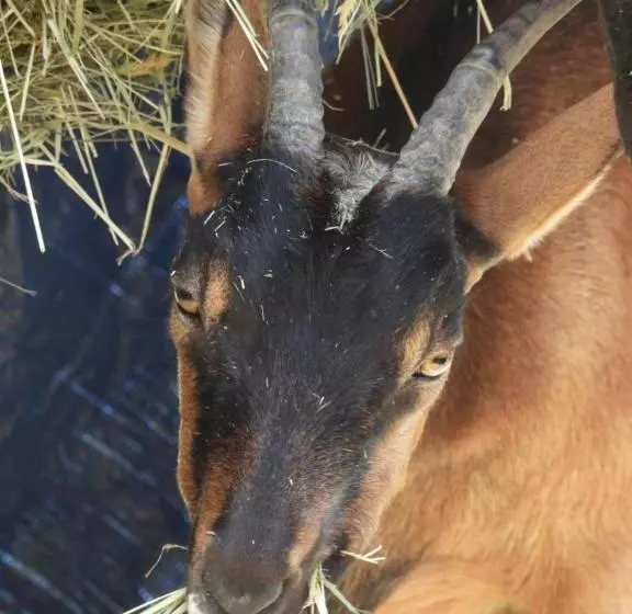 Aamiaismajoitus (B&B) La Suite Mélusine   Spa Du Souffle Du Saule