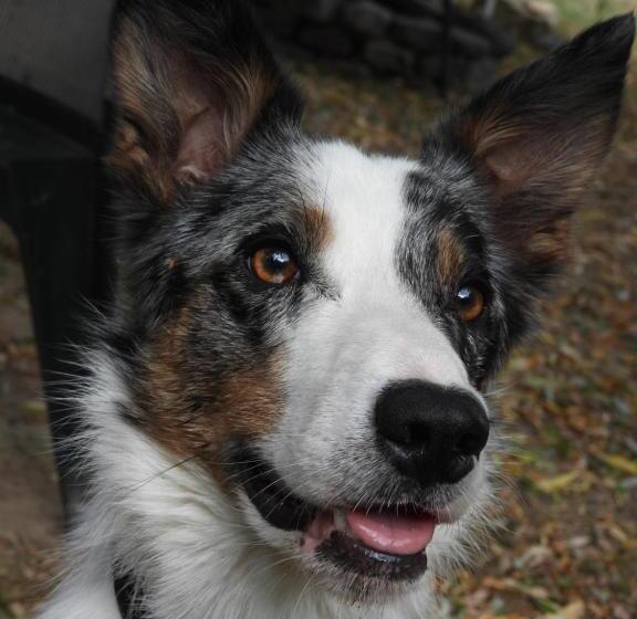 ベッドアンドブレックファースト La Suite Mélusine Spa Du Souffle Du Saule