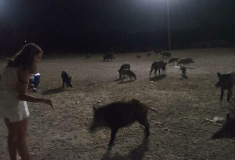 Casa Vacanze Claudia A Torre Del Lago Puccini