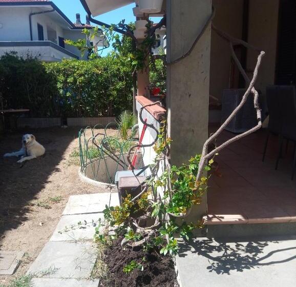 Casa Vacanze Claudia A Torre Del Lago Puccini