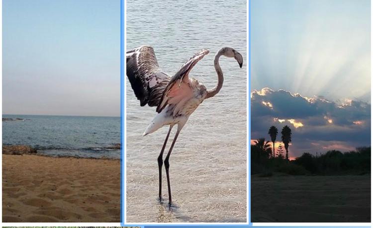 Il Cuore Di Malacala, Noto Marina