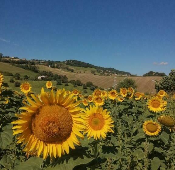 Pension Affittacamere Roberta